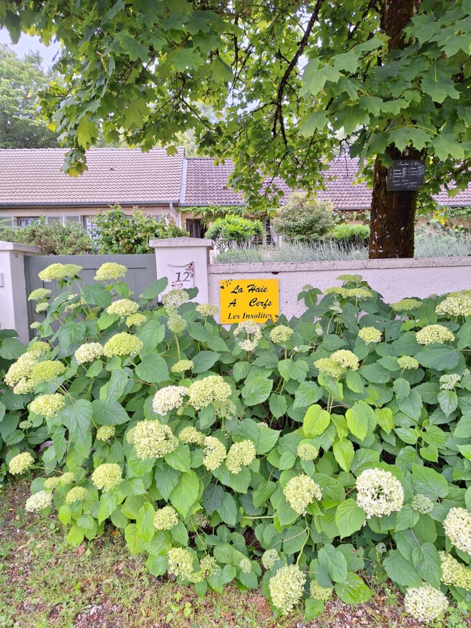La Haie A Cerf Watronville Экстерьер фото